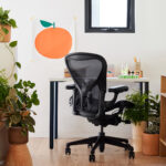 Ergonomic Chair Vs Standing Desk: Which Is Better? 