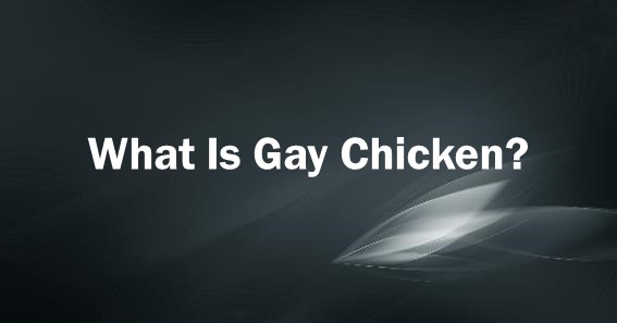 what is gay chicken
